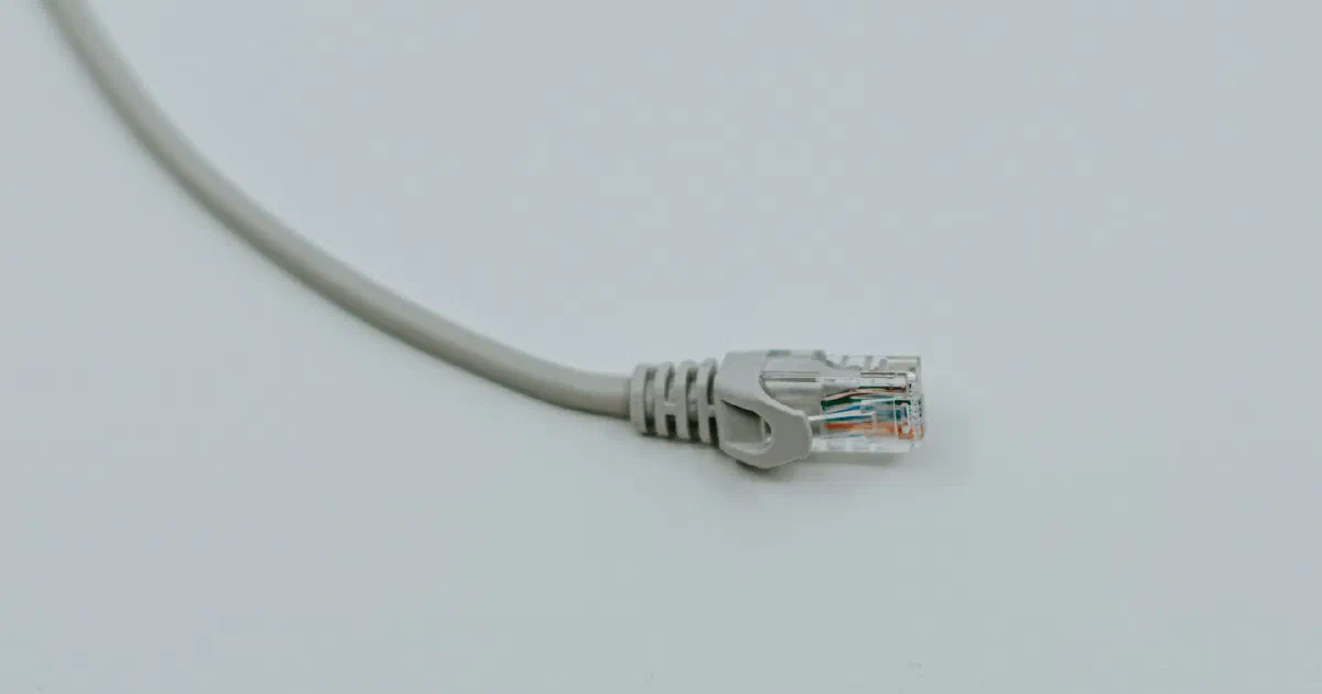 Gray Ethernet cable with an RJ45 plug on a light gray background