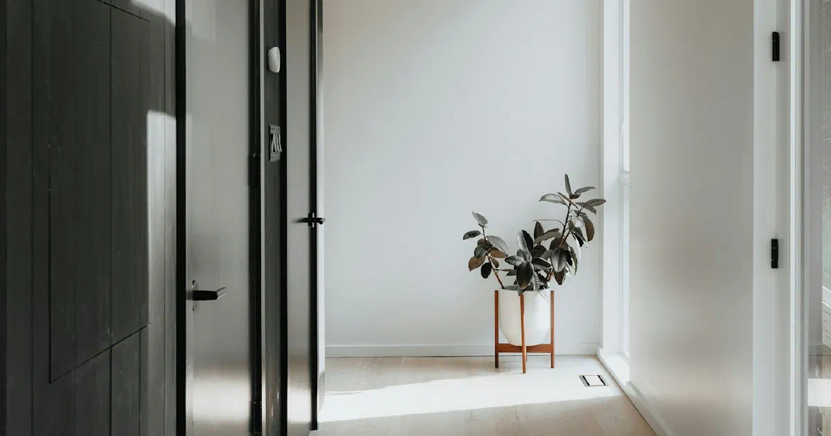 Bright hallway with open doors leading to a room with a plant