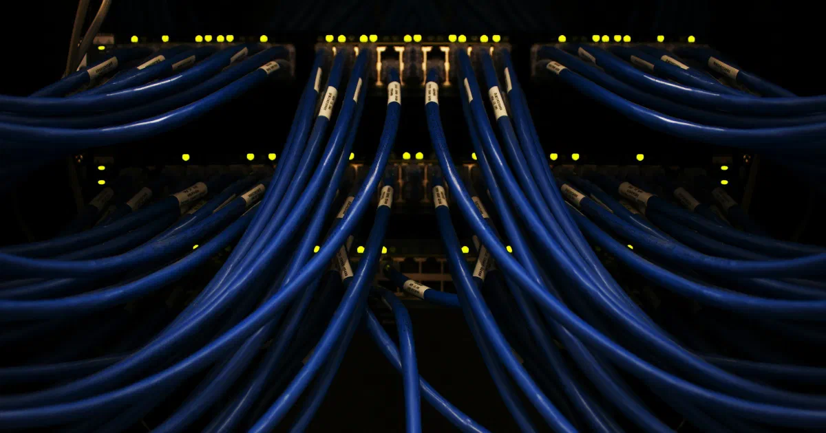 Rows of blue Ethernet cables with white labels plugged into network switches with small yellow status lights