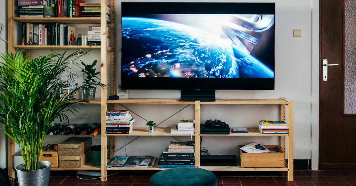 Living room with a TV on a wooden shelving unit full of books and plants
