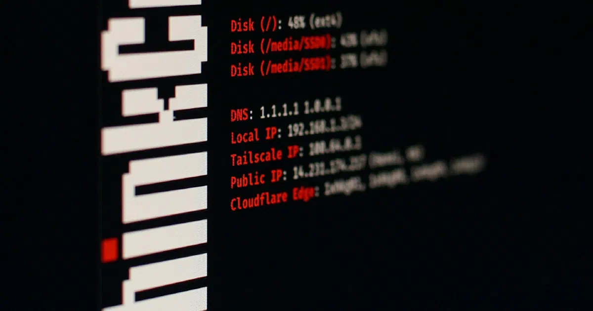 Close-up of a computer terminal on a dark screen listing DNS servers, a local IP address and a public IP address in red and white text
