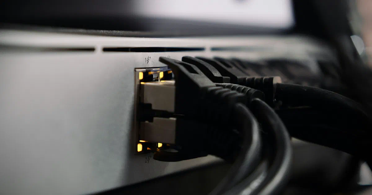 Close-up of black Ethernet cables plugged into lit ports on the back of a gray network device, with a second device blurred behind it